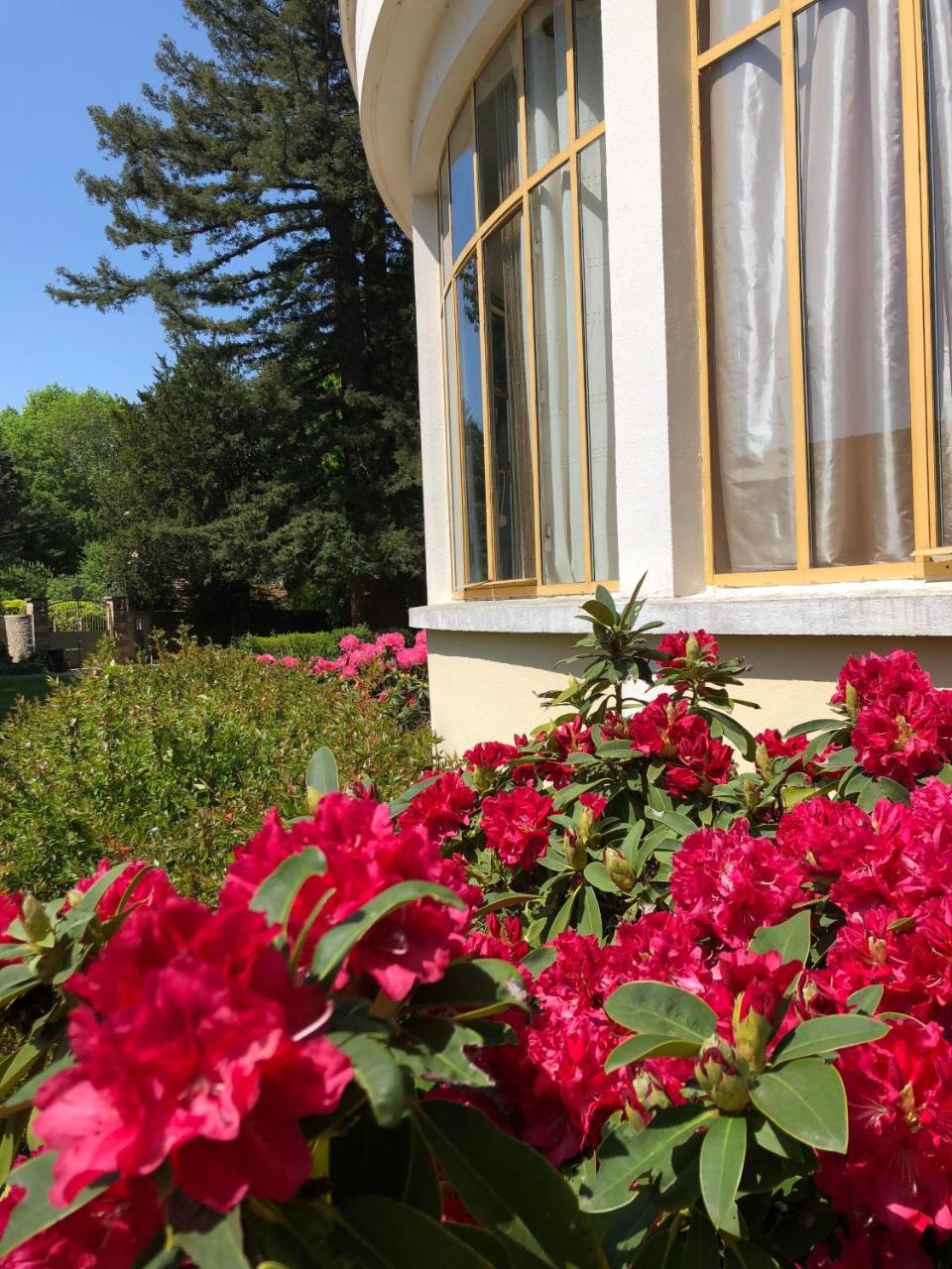 La Villa Rochette Forges-les-Bains 外观 照片